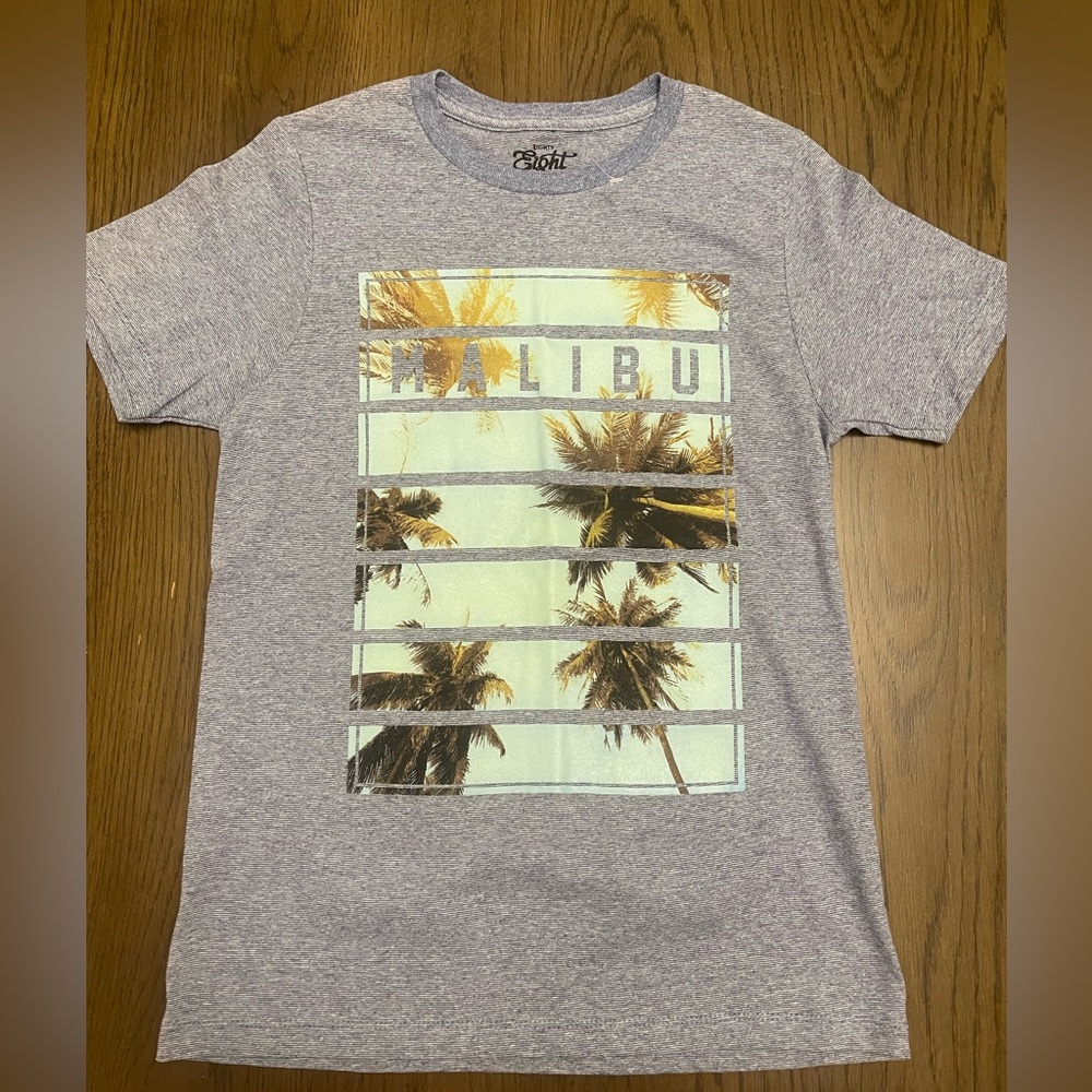 Zobha Heather Gray and blue Malibu Palm T-Shirt